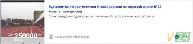 Бруківка та «УЗІ» для песиків: за які проекти лучан проголосували найбільше