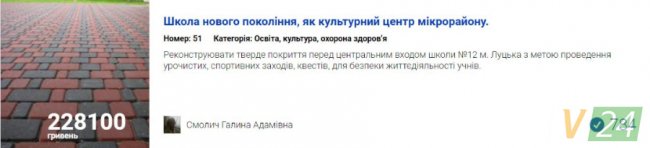 Бруківка та «УЗІ» для песиків: за які проекти лучан проголосували найбільше