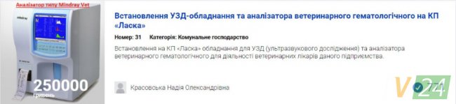 Бруківка та «УЗІ» для песиків: за які проекти лучан проголосували найбільше