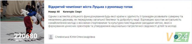 Бруківка та «УЗІ» для песиків: за які проекти лучан проголосували найбільше