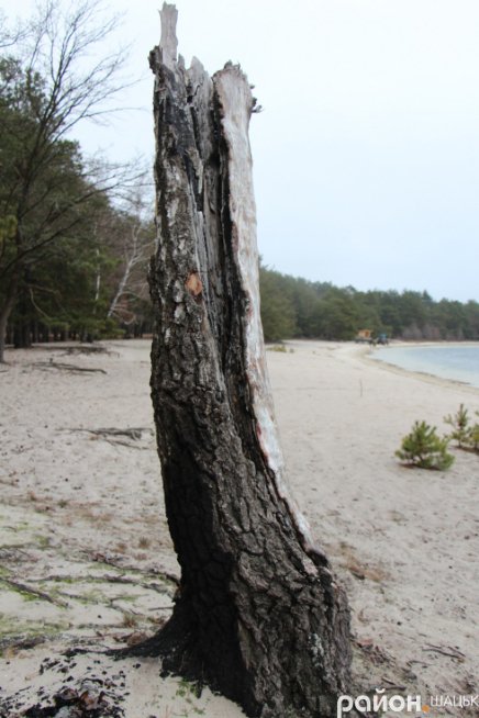 Звідки на волинському озері з'явилася грузинська Піцунда