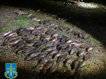 36-річний волинянин наловив риби майже на мільйон гривень
