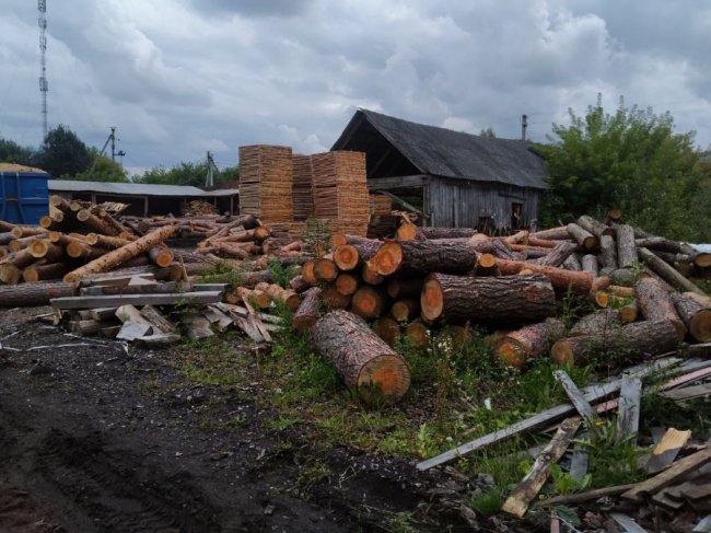 На Волині наклали арешт на незаконну деревину