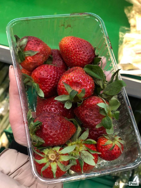 Скільки коштує полуниця на луцькому ринку та чи чекати на кавуни і мелітопольську черешню 