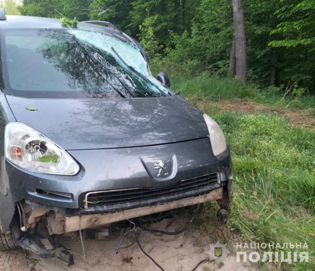 На Волині 16-річна п`яна водійка збила чоловіка: втікаючи з місця аварії, дівчина злетіла у кювет