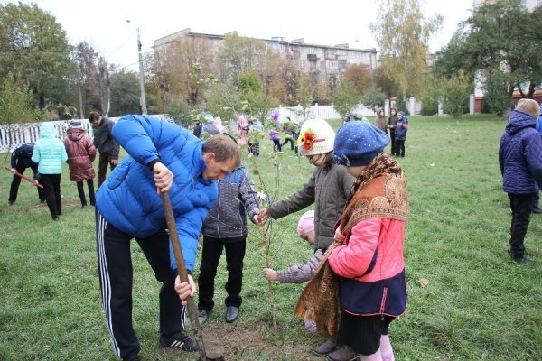 У Луцьку саджали дерева миру. ФОТО