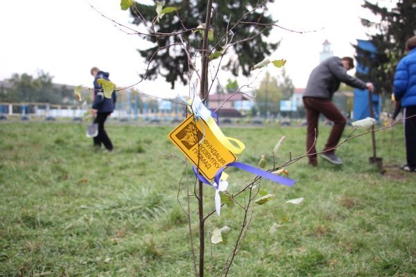У Луцьку саджали дерева миру. ФОТО