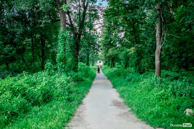 Літо у луцькому парку. ФОТО