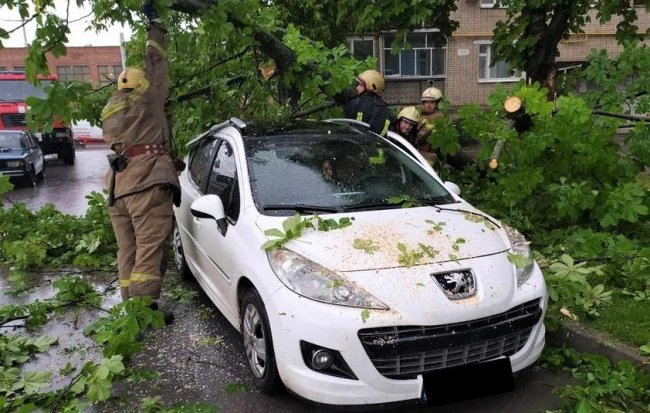 У Сумах буревій повалив дерева на автомобілі та будинки. ФОТО