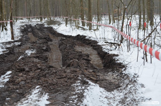 Жнива у зимовому лісі: як на Волині заготовляють деревину. ФОТО
