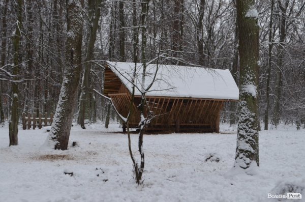 Вполювати оленя на Волині коштує більше двох тисяч гривень. ФОТО