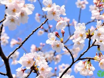 Погода на завтра, 12 квітня, у Луцьку та Волинській області