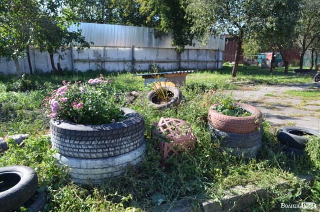 Показали умови, у яких живуть тварини в луцькій «Ласці». ФОТО