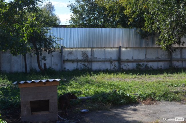 Показали умови, у яких живуть тварини в луцькій «Ласці». ФОТО