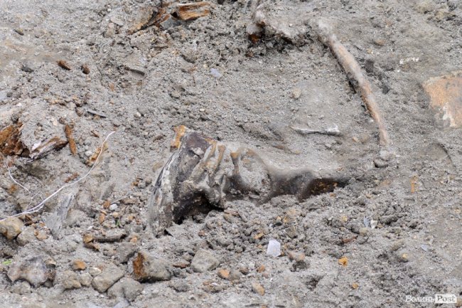 У Луцьку розкопали масове захоронення розстріляних в'язнів