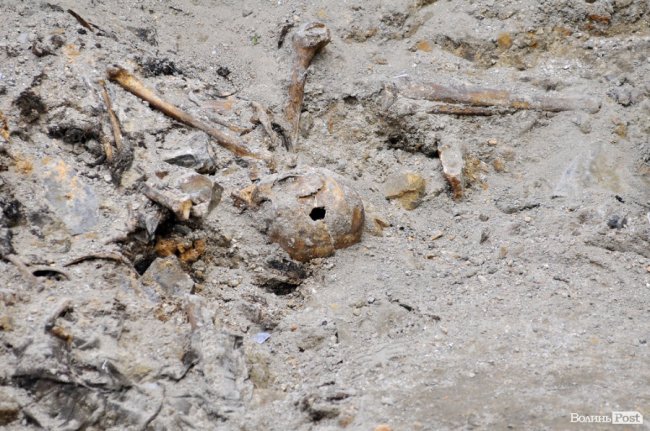 У Луцьку розкопали масове захоронення розстріляних в'язнів