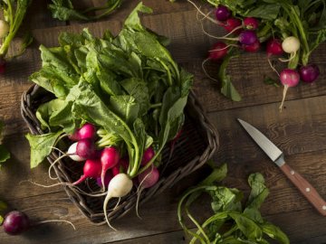 Фермери просять створити умови для збуту продукції в Луцьку в умовах карантину