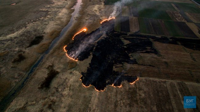 Наче апокаліпсис: показали моторошні фото після пожеж на Волині
