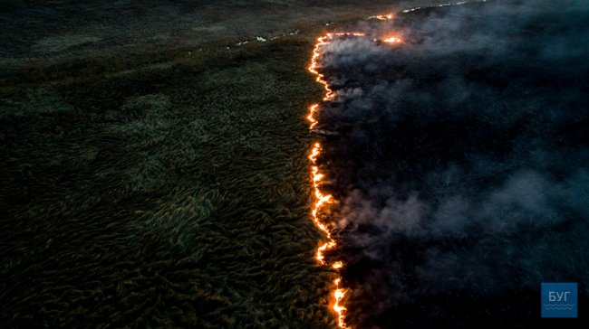 Наче апокаліпсис: показали моторошні фото після пожеж на Волині