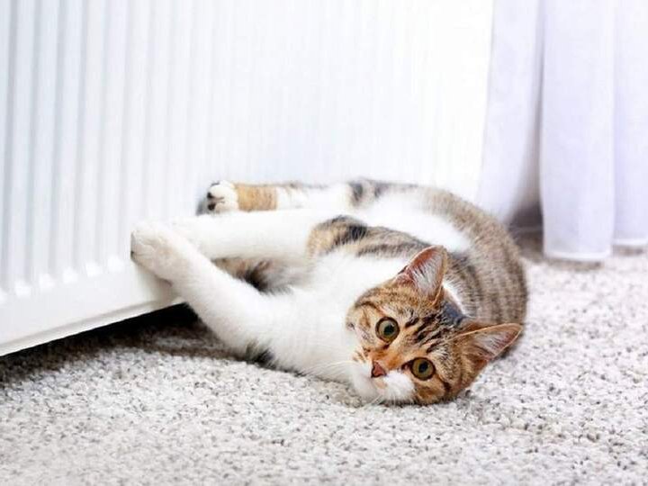 Коли у Луцьку розпочнеться опалювальний сезон