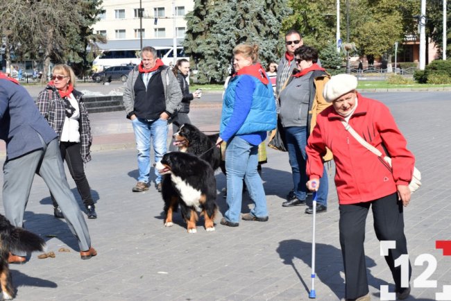 У Луцьку влаштували перший в Європі парад-фестиваль бернських зенненхундів. ФОТО