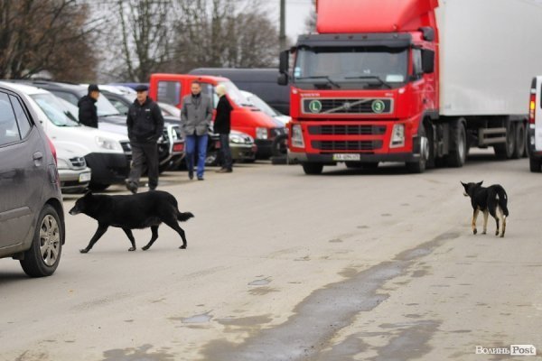 Луцький авторинок. БУДНІ МІСТА