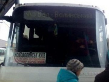 Покарали перевізника, з автобуса якого висадили атошника у Нововолинську