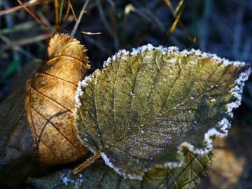 Погода в Луцьку та Волинській області на середу, 27 листопада
