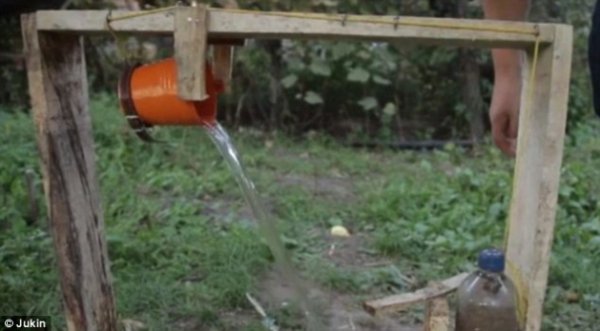 Ice Bucket Challenge: собака облився водою. ФОТО