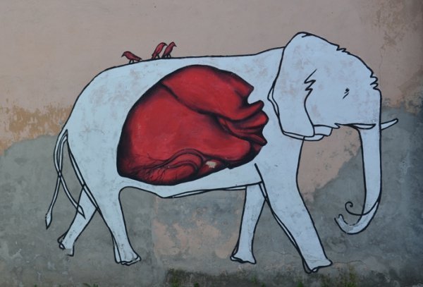 Фотопогляд: графіті Кам'янця-Подільського. ФОТО 