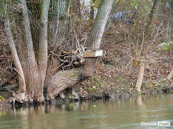 Водна експедиція: як виглядає Луцьк зі Стиру. ФОТО