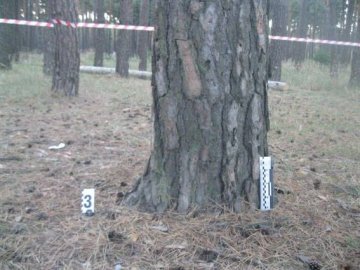 Няня прив’язала 7-річну дитину до дерева в лісі біля цвинтаря