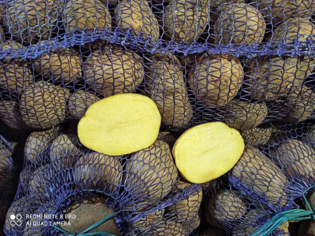 Овочевий кошик – просто до дверей: у Луцьку працює служба із корисною доставкою*