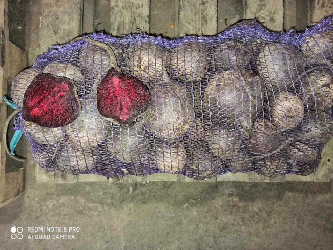 Овочевий кошик – просто до дверей: у Луцьку працює служба із корисною доставкою*