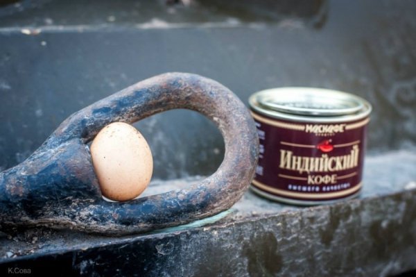 У полоні Криму. ФОТО