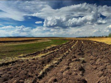 У Ратнівському районі – земельний конфлікт
