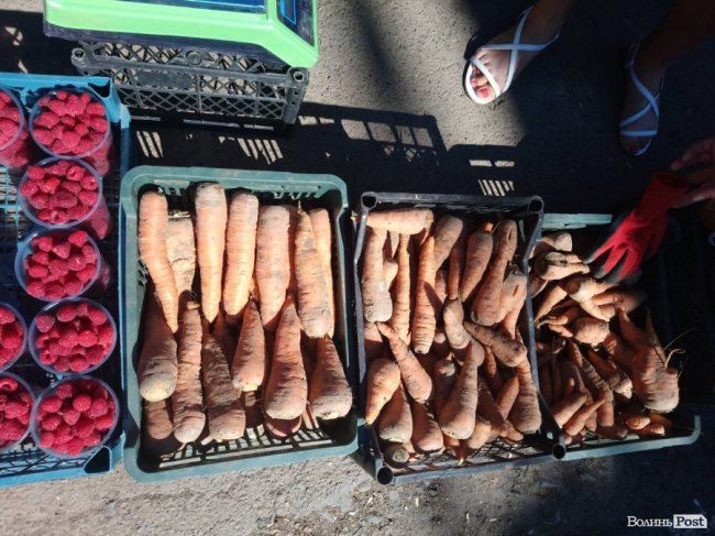 Дорожче, ніж персики: скільки коштує морква на луцькому ринку 