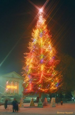 Показали головну ялинку Луцька у різні роки