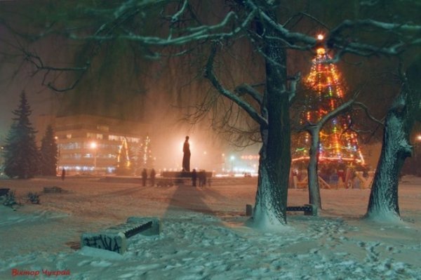 Показали головну ялинку Луцька у різні роки