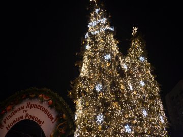 Головна ялинка Луцька – у ТОП-5 найкрасивіших красунь України