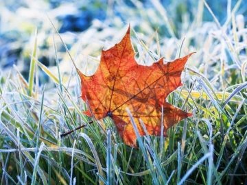 Погода в Луцьку та Волинській області на понеділок, 6 серпня