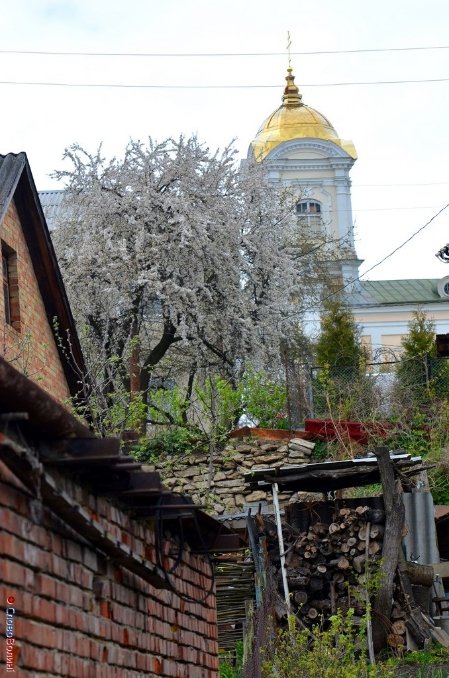 Дахи Луцька. ФОТО