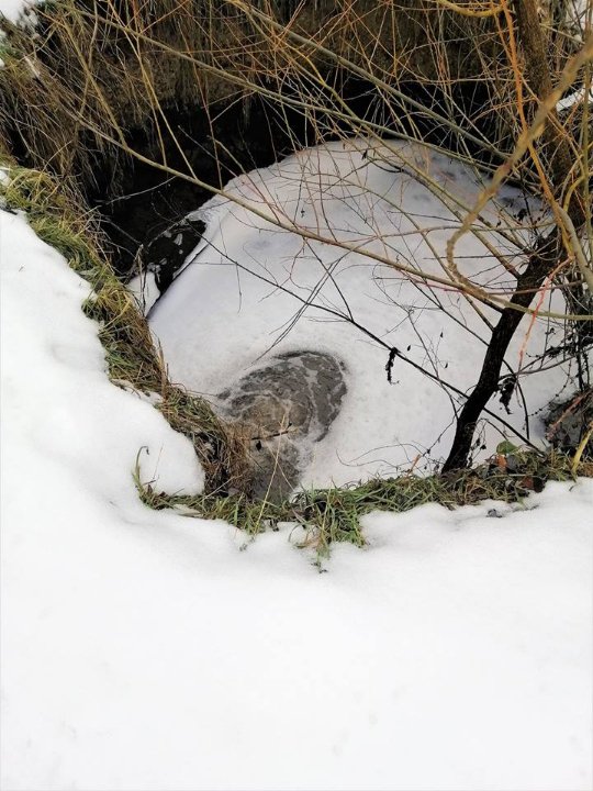 У луцьку річку зливають нафтопродукти, – соцмережі. ФОТО