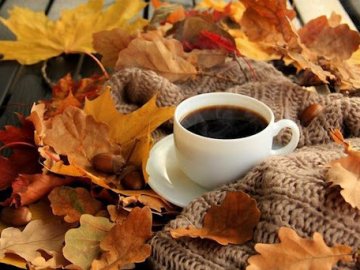 Погода у Луцьку на завтра, 30 жовтня