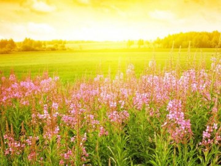 Погода в Луцьку та Волинській області на завтра, 4 липня