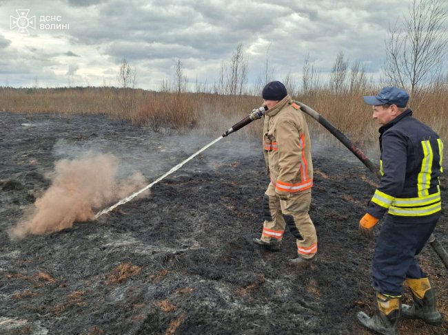 На Волині горів торфяник. ФОТО