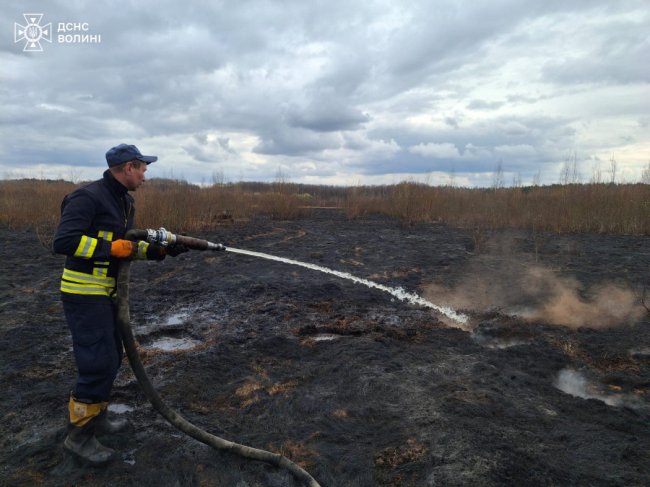 На Волині горів торфяник. ФОТО