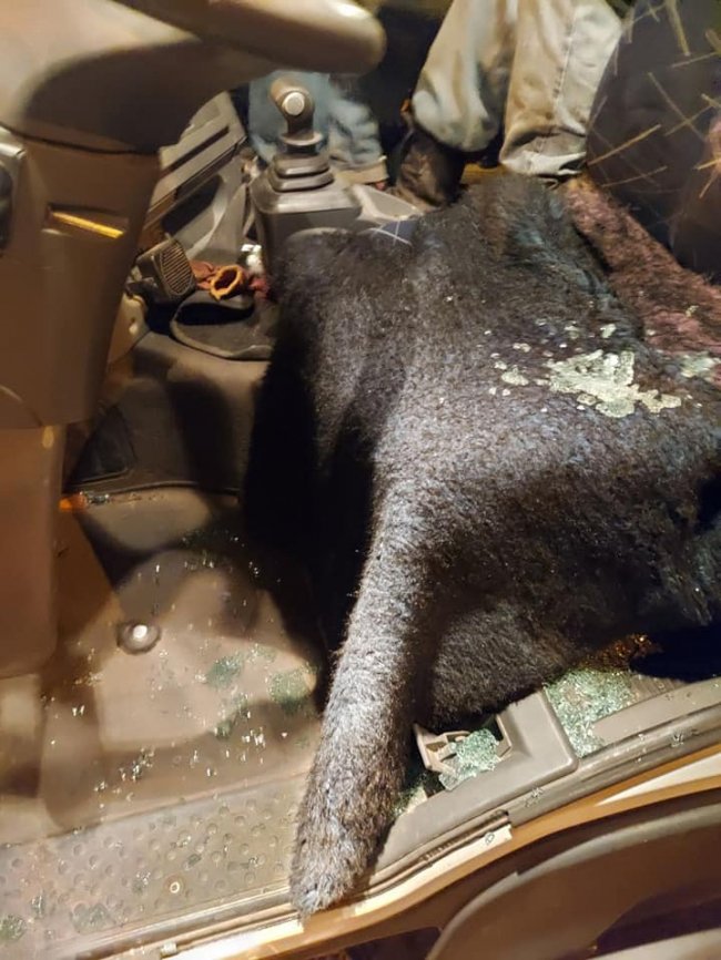 П'яні підприємці та «тітушки» влаштували провокації біля Центрального ринку, – муніципали. ВІДЕО