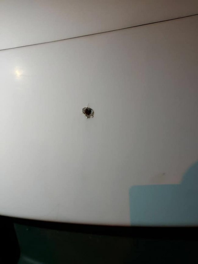 П'яні підприємці та «тітушки» влаштували провокації біля Центрального ринку, – муніципали. ВІДЕО