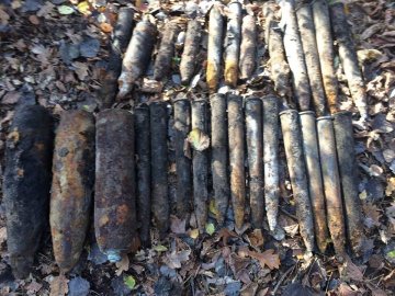Селяни на Волині шукали гриби, а знайшли арсенал боєприпасів
